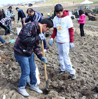 TORONTO BRANCH PARTICIPATES IN TREE PLANTING ON EARTH DAY