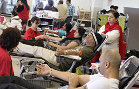 Blood Donation Camp for Manav Ekta Diwas